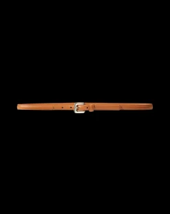 Gloriosa Belt in><noscript><img width=