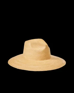 Hat in><noscript><img width=